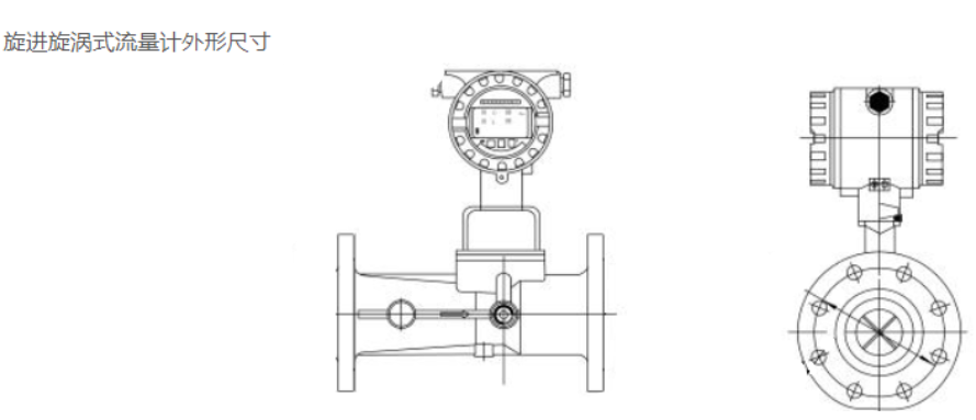 旋進(jìn)旋渦流量計.png